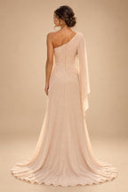 A-Line/Princess One Shoulder Chiffon Floor-Length Mother of the Bride & Groom Dresses with Lace Appliques, Sweep Train & Side Sash (SHI22501663)