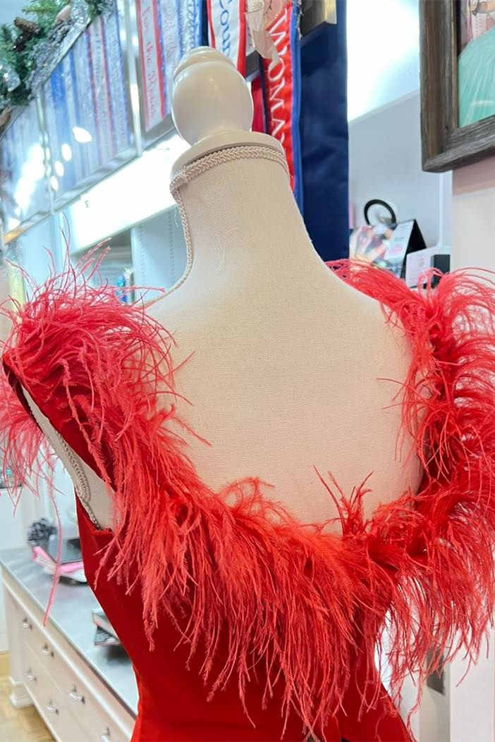Vestido Formal Comprido Vermelho com Decote Profundo, Penas e Fenda