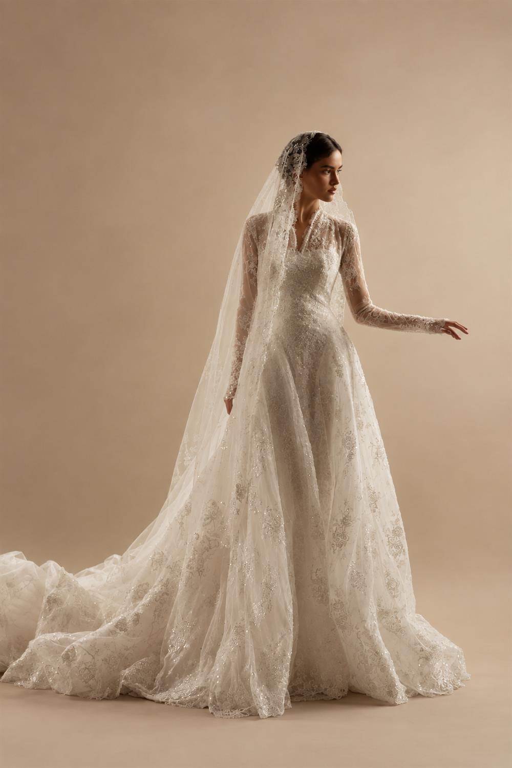 Timeless White Lace V-Neck Long Sleeve Wedding Dress with Cathedral Veil ZP104