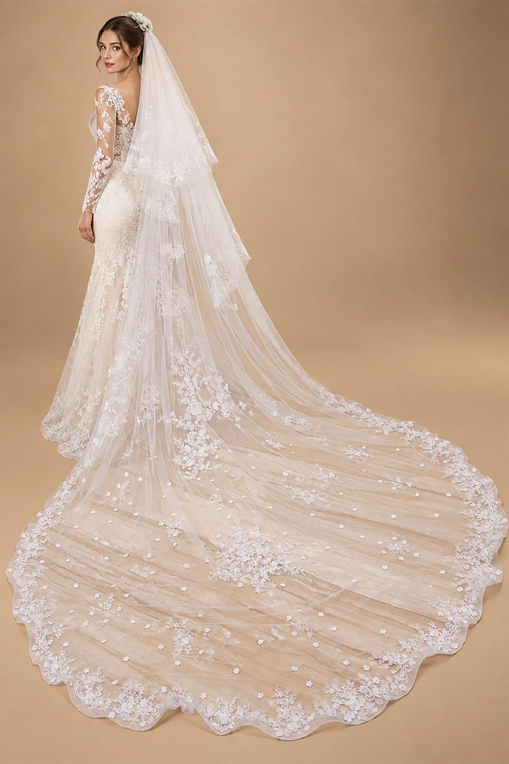 Two-Layer Wedding Veil with Appliques and Flowers Unique Long Bridal Veils with Comb AX