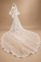 Two-Layer Wedding Veil with Appliques and Flowers Unique Long Bridal Veils with Comb AX