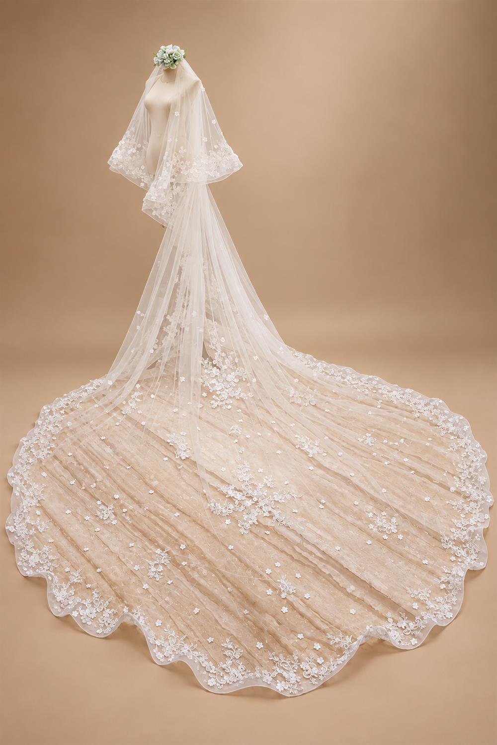 Two-Layer Wedding Veil with Appliques and Flowers Unique Long Bridal Veils with Comb AX