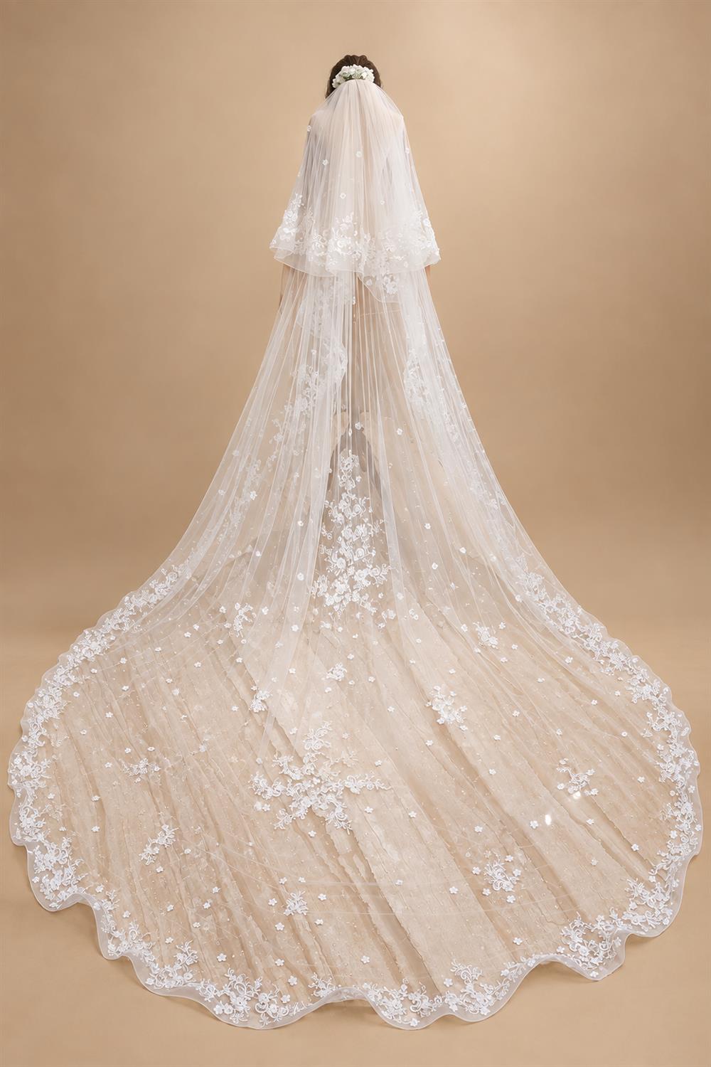 Two-Layer Wedding Veil with Appliques and Flowers Unique Long Bridal Veils with Comb AX