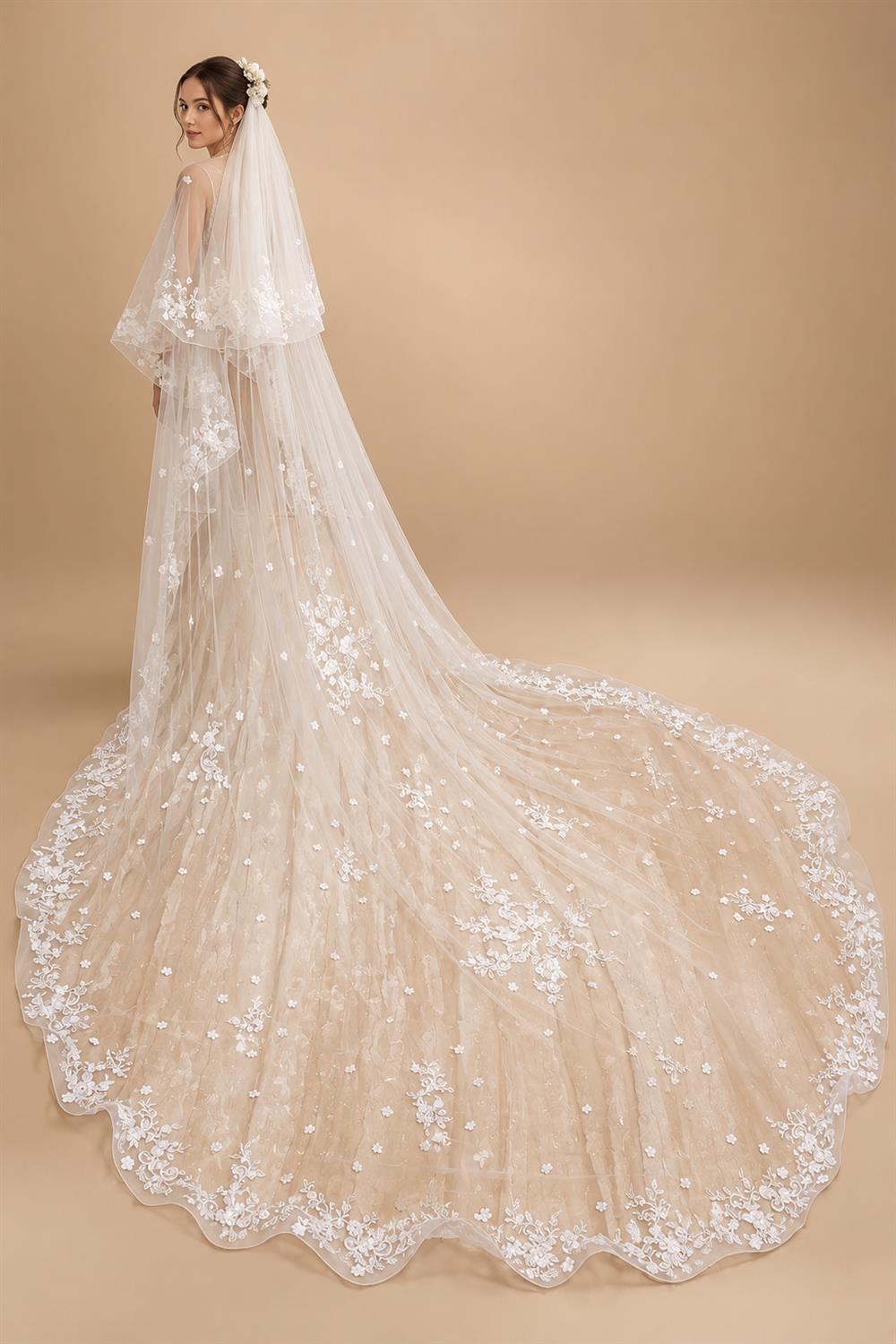 Two-Layer Wedding Veil with Appliques and Flowers Unique Long Bridal Veils with Comb AX