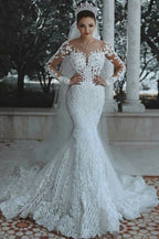 Long Sleeves Mermaid Wedding Dress With Lace Appliques Back Zipper Court Train