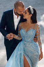 Sexy Sparkly Long Sleeves Mermaid Prom Dresses Evening Gowns With Lace